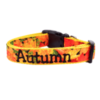 Customizable Autumn Leaves Dog Pet Collar