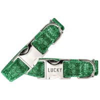 Personalized Sparkling Green Glitter Dog Collar + Leash