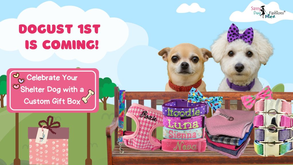 DOGust 1st Is Coming - Celebrate Your Shelter Dog with a Custom Gift Box