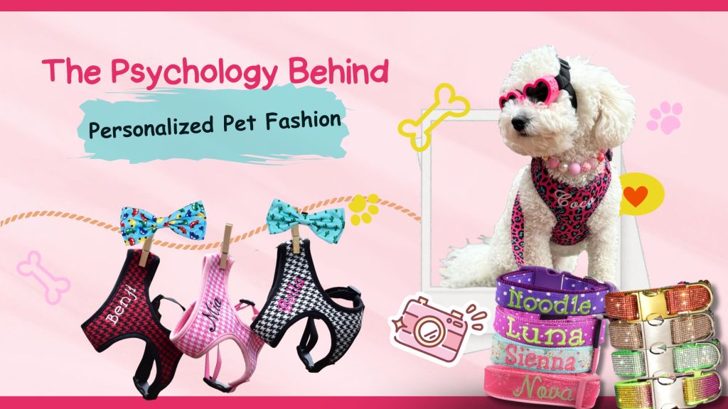 The Psychology Behind Personalized Pet Fashion