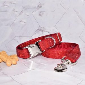 rhinestone dog collar