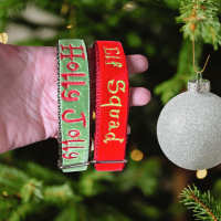 Custom Embroidered Christmas Message Dog Collar