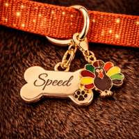 Thanksgiving Turkey Pet Dog Collar Charm