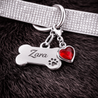 Red Heart Gem Pet Dog Collar Charm