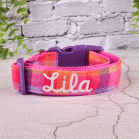 Embroidered Sunset Plaid Dog Collar - Leash