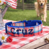Embroidered Red-White-Blue Plaid Dog Collar - Leash