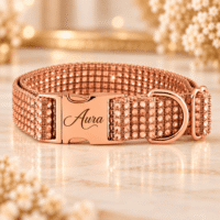 Personalized Rose Gold Resin Rhinestone Bling Dog Collar - Leash